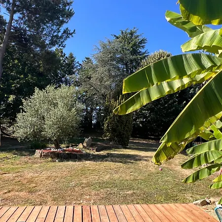 La - Piscine - Billard *